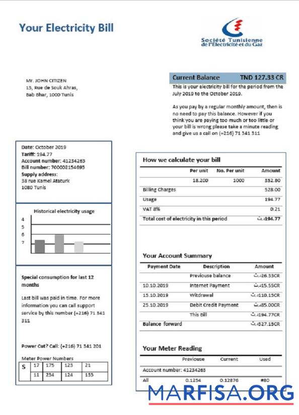 Downloadable Tunisia electricity proof of address utility bill template in Word and PDF format